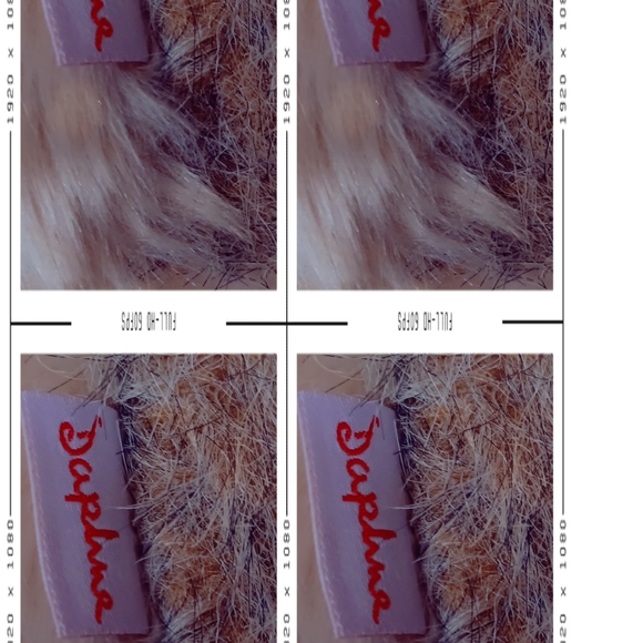 Beaver Gopher Plush Puppet Vintage Daphne Grand Oak Golf Club - Picture 15 of 15